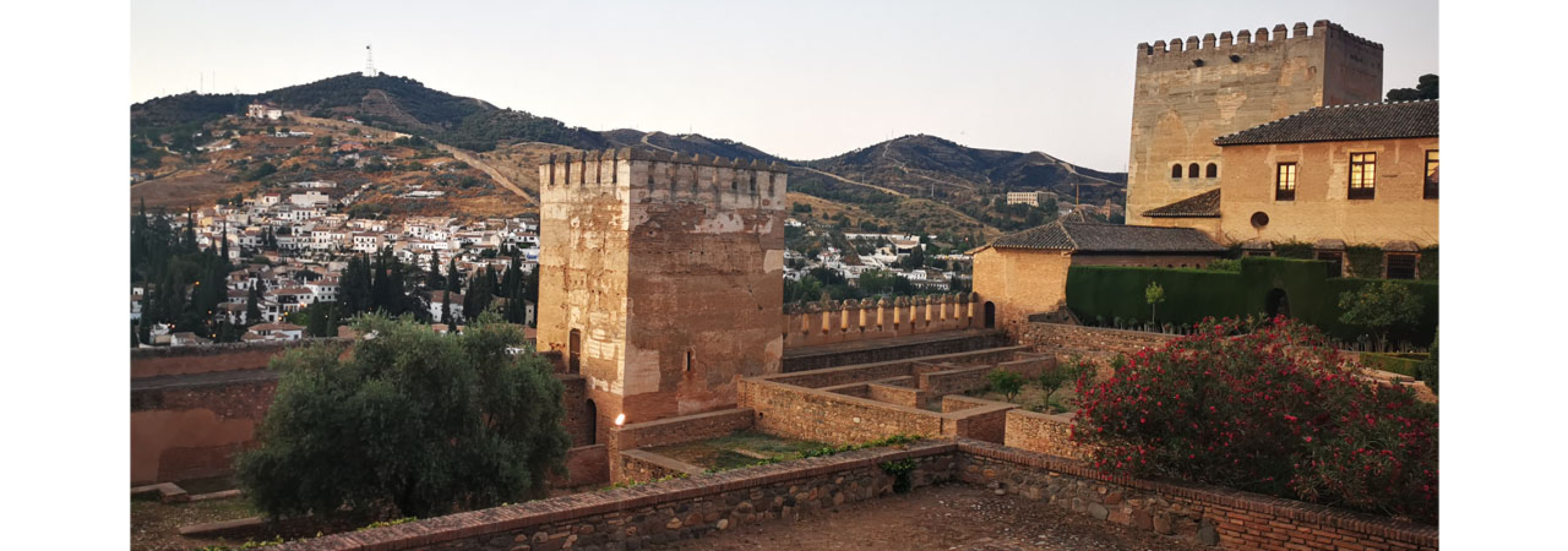 Univerzitet Crne Gore