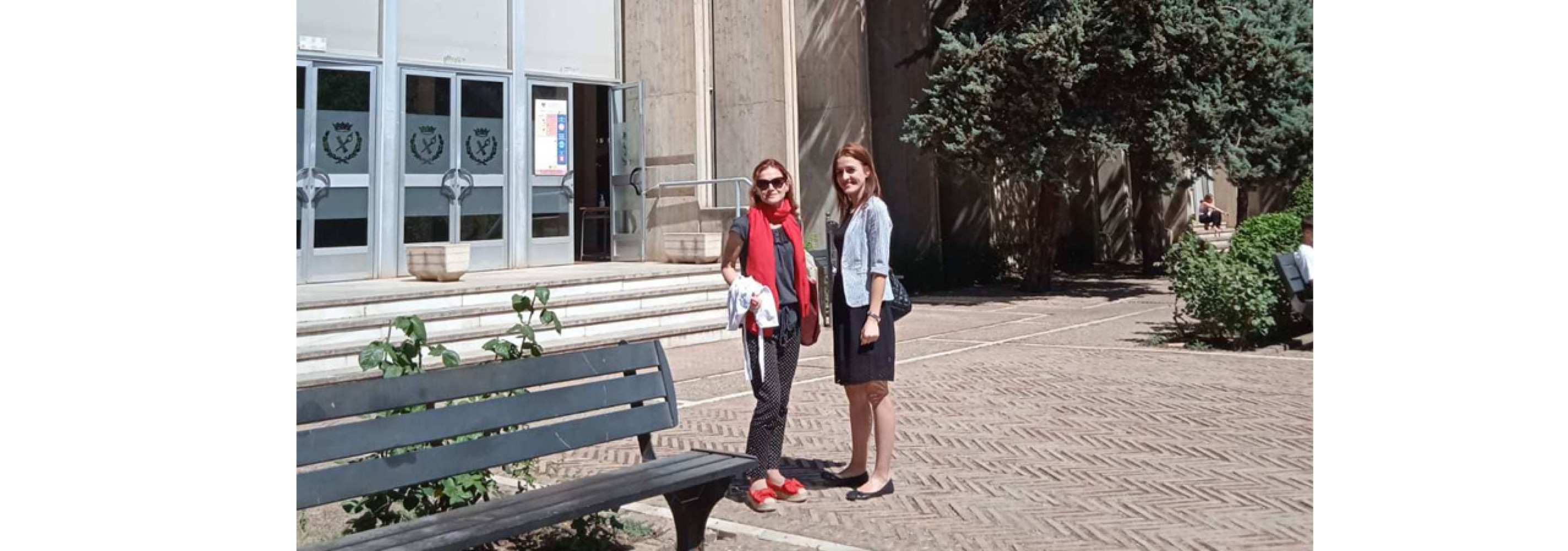 Univerzitet Crne Gore