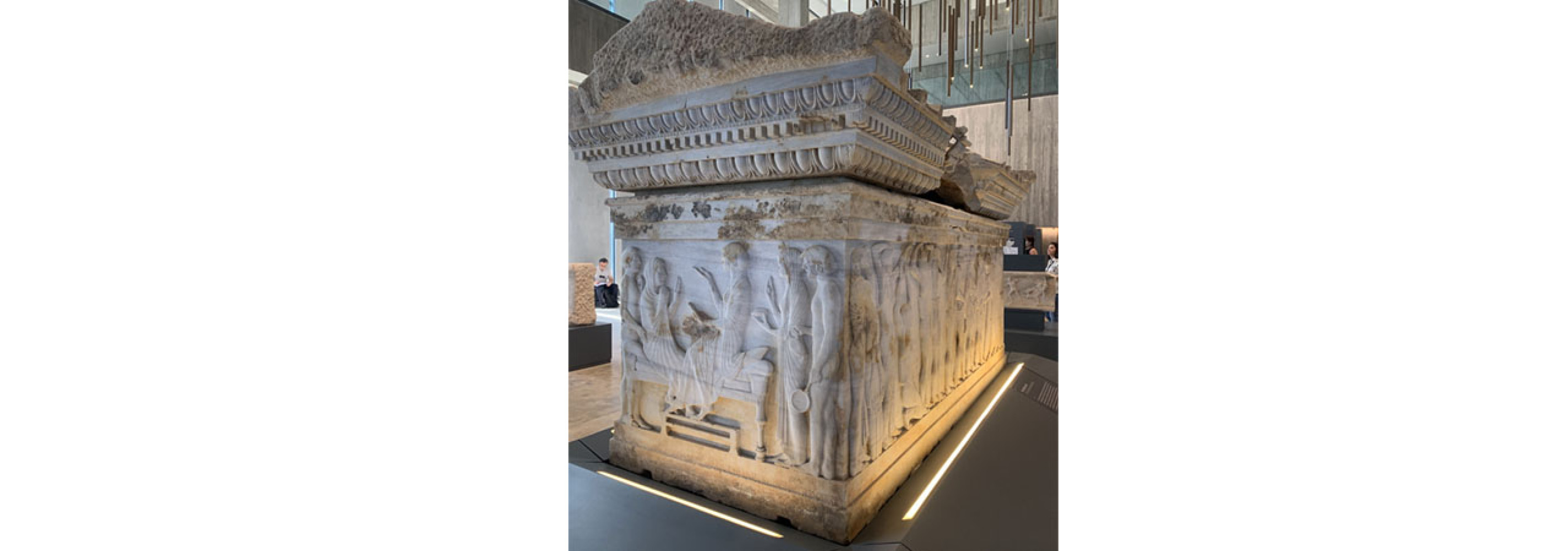 Univerzitet Crne Gore