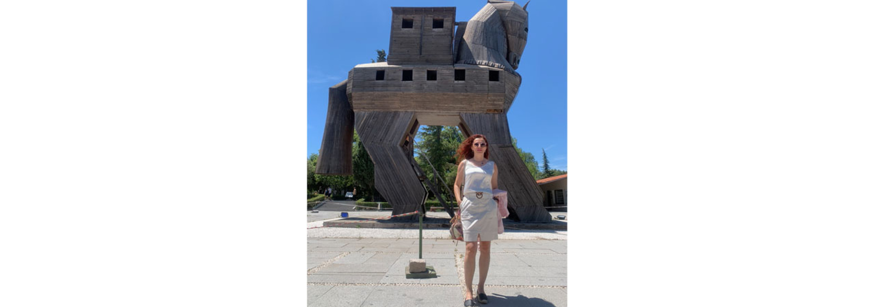 Univerzitet Crne Gore