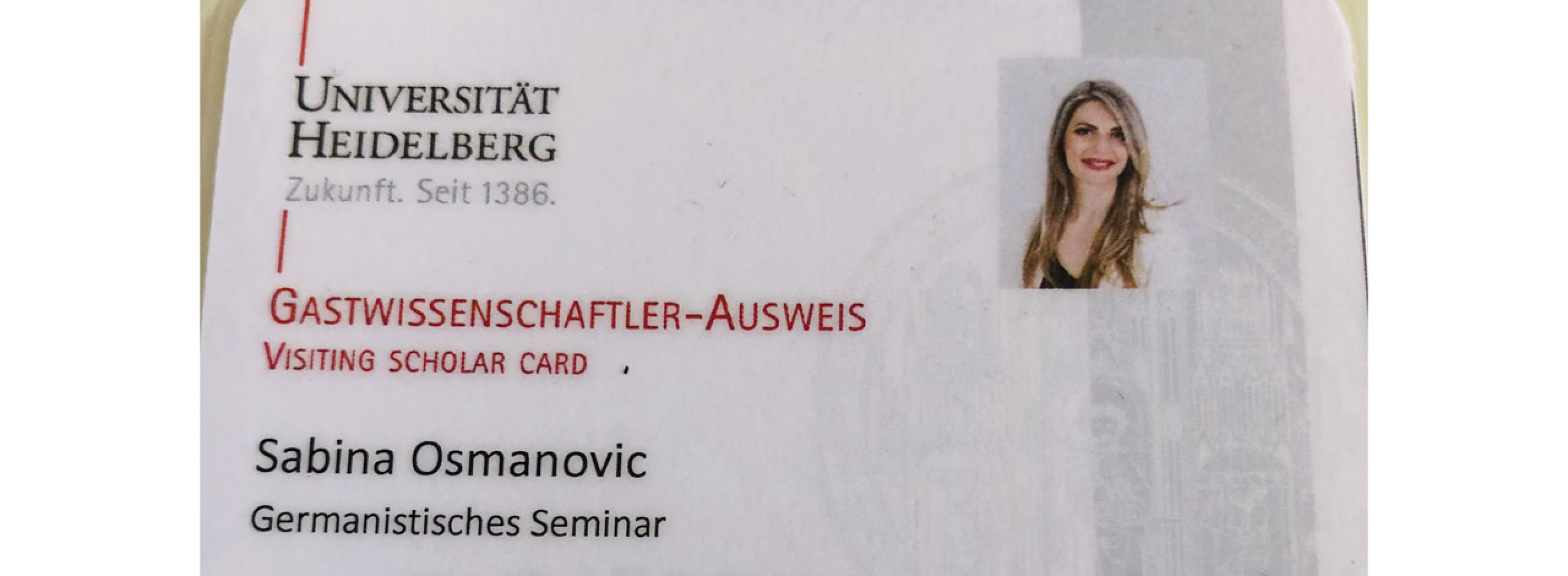 Univerzitet Crne Gore