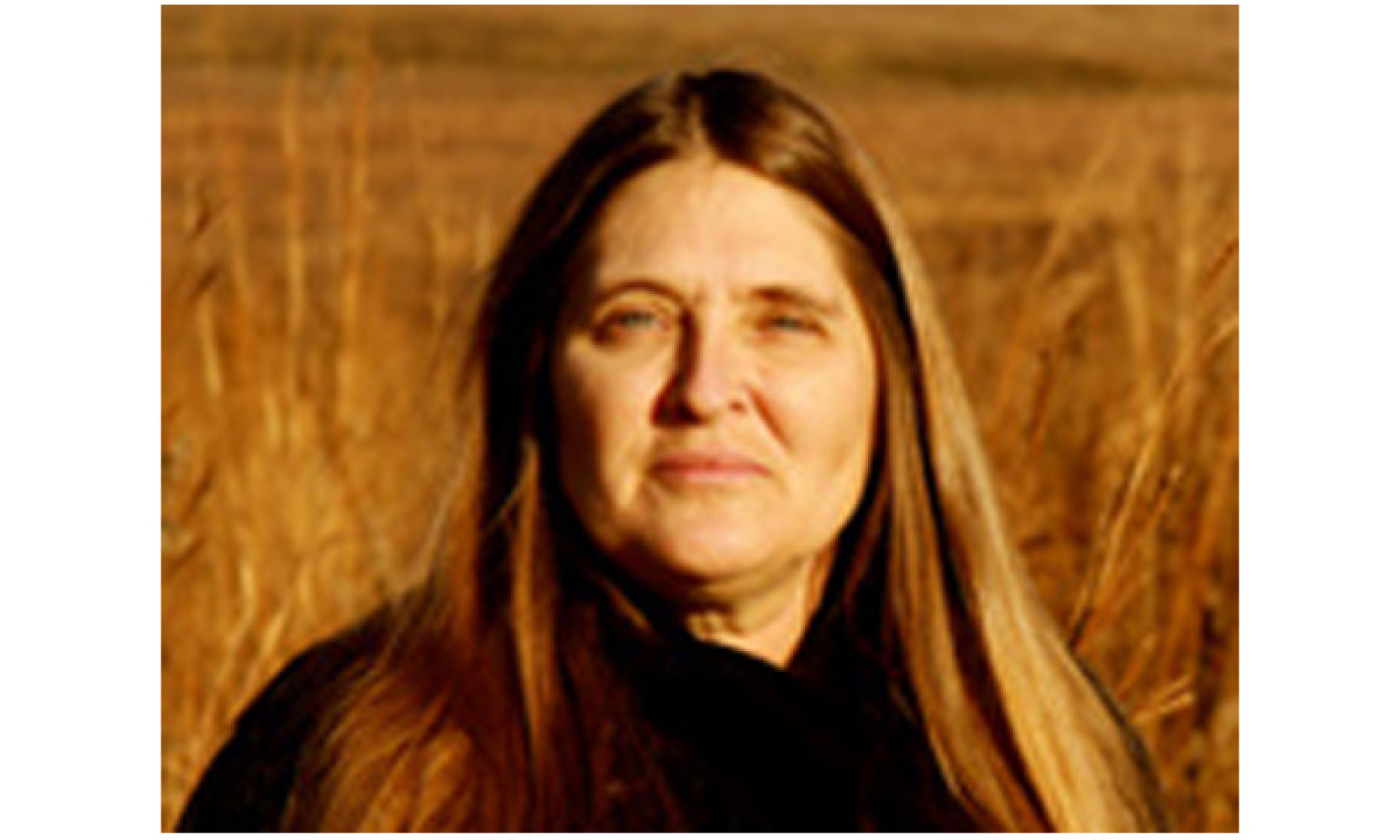 Univerzitet Crne Gore