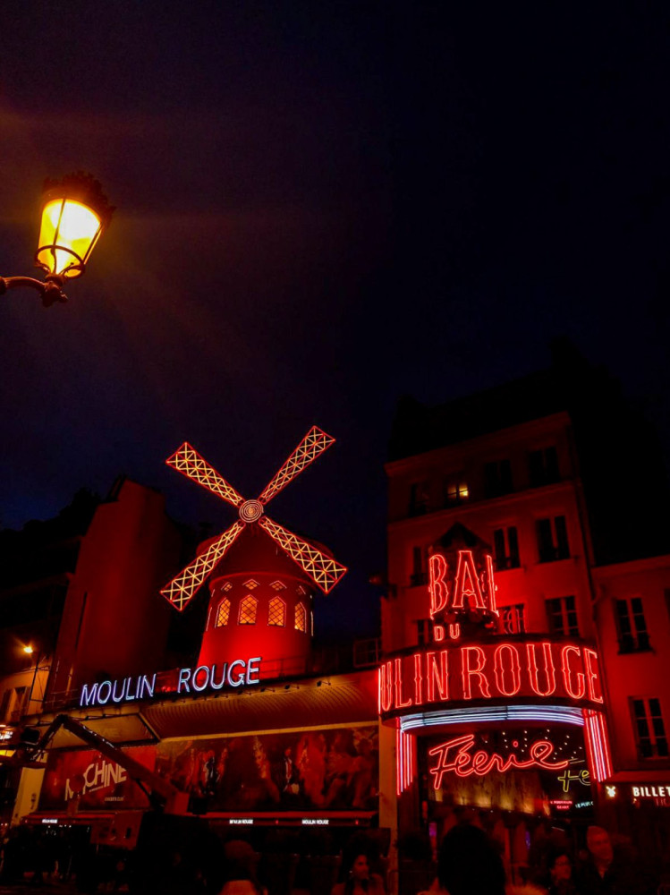 Univerzitet Crne Gore