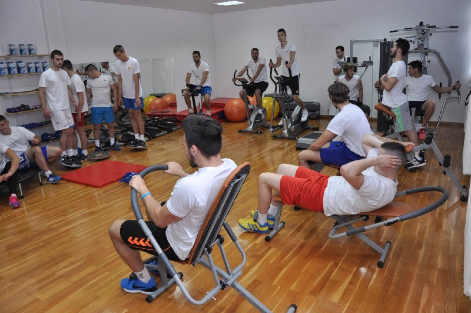 Univerzitet Crne Gore