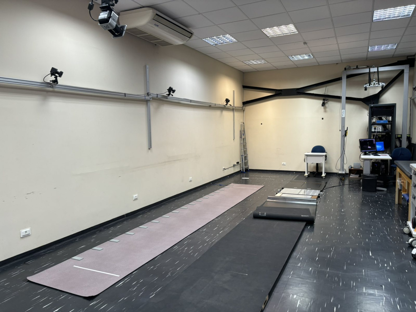 Univerzitet Crne Gore