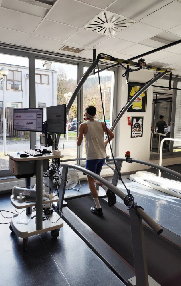 Univerzitet Crne Gore