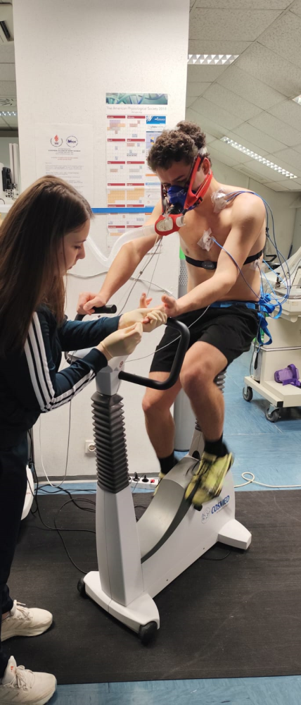 Univerzitet Crne Gore