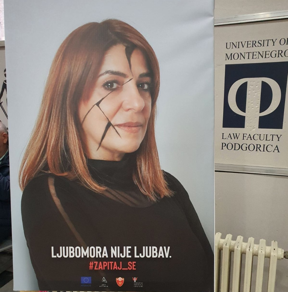 Univerzitet Crne Gore