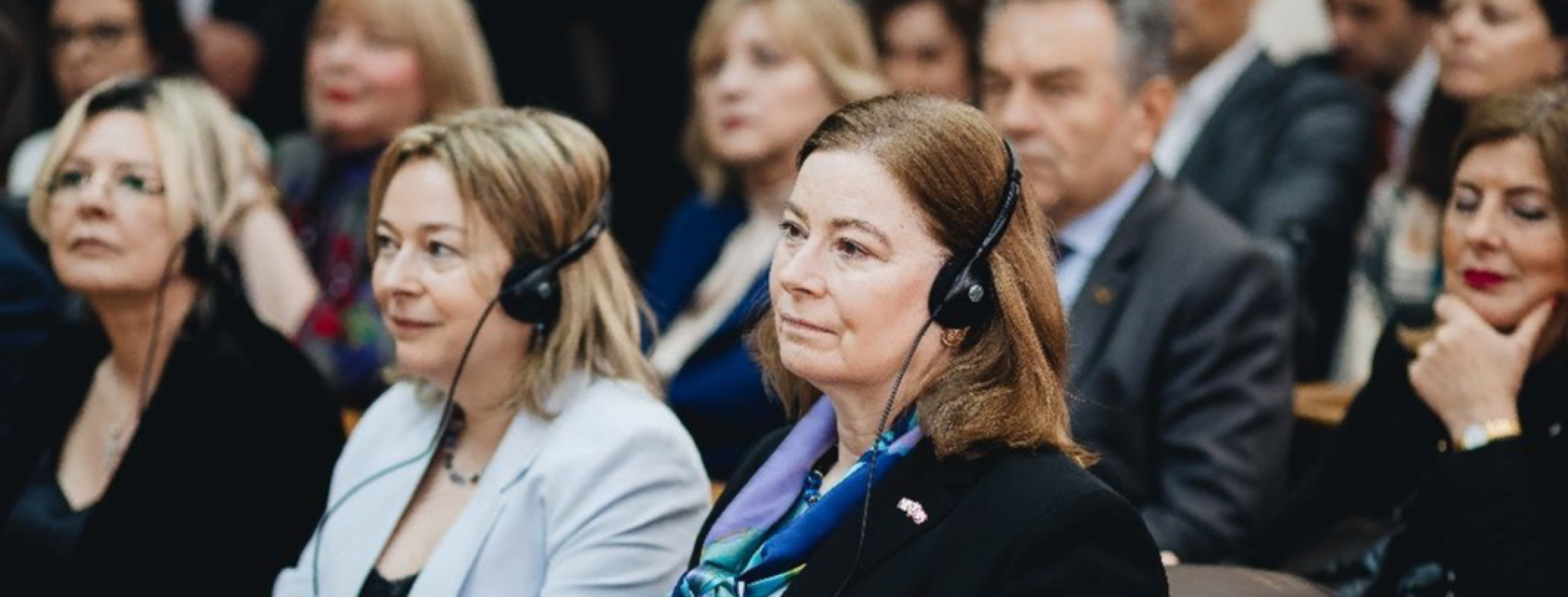 Univerzitet Crne Gore