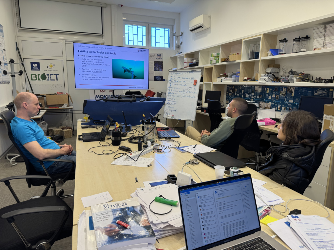 Univerzitet Crne Gore