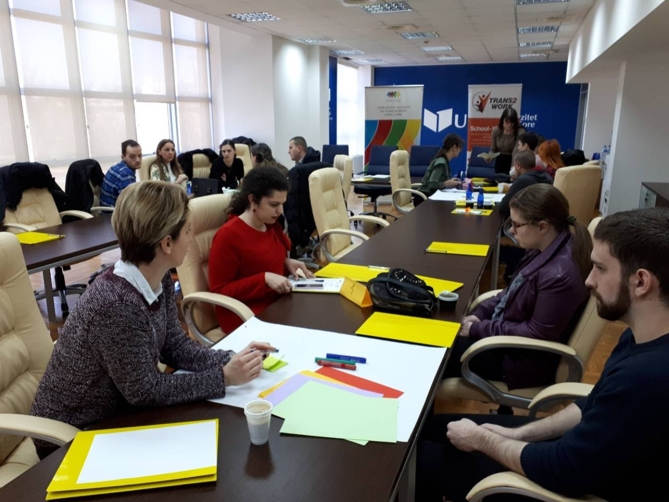 Univerzitet Crne Gore