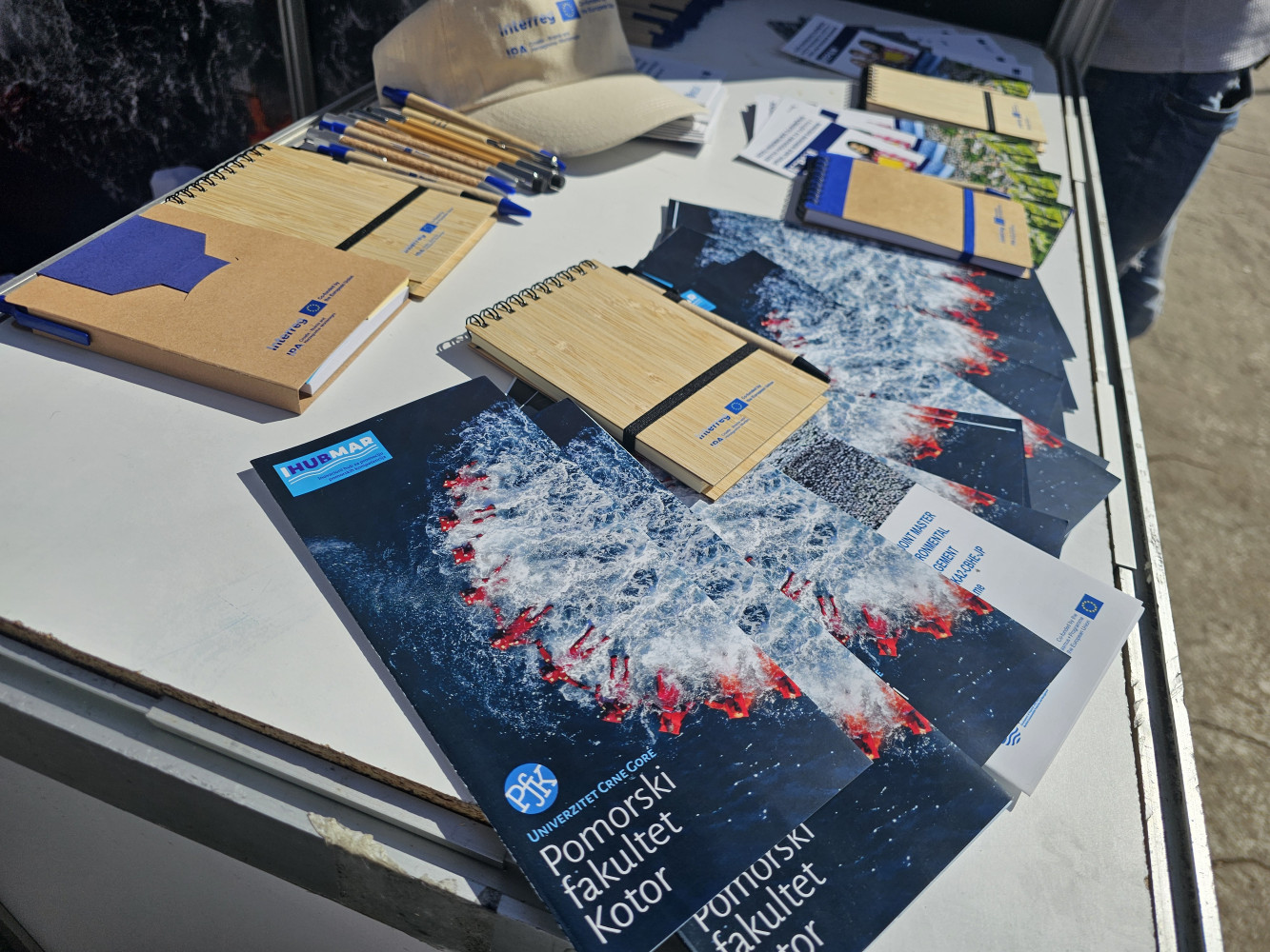 Univerzitet Crne Gore