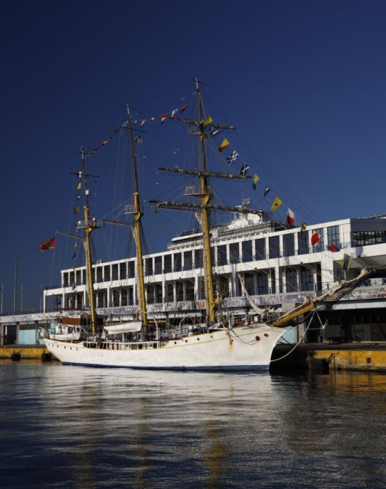 Univerzitet Crne Gore