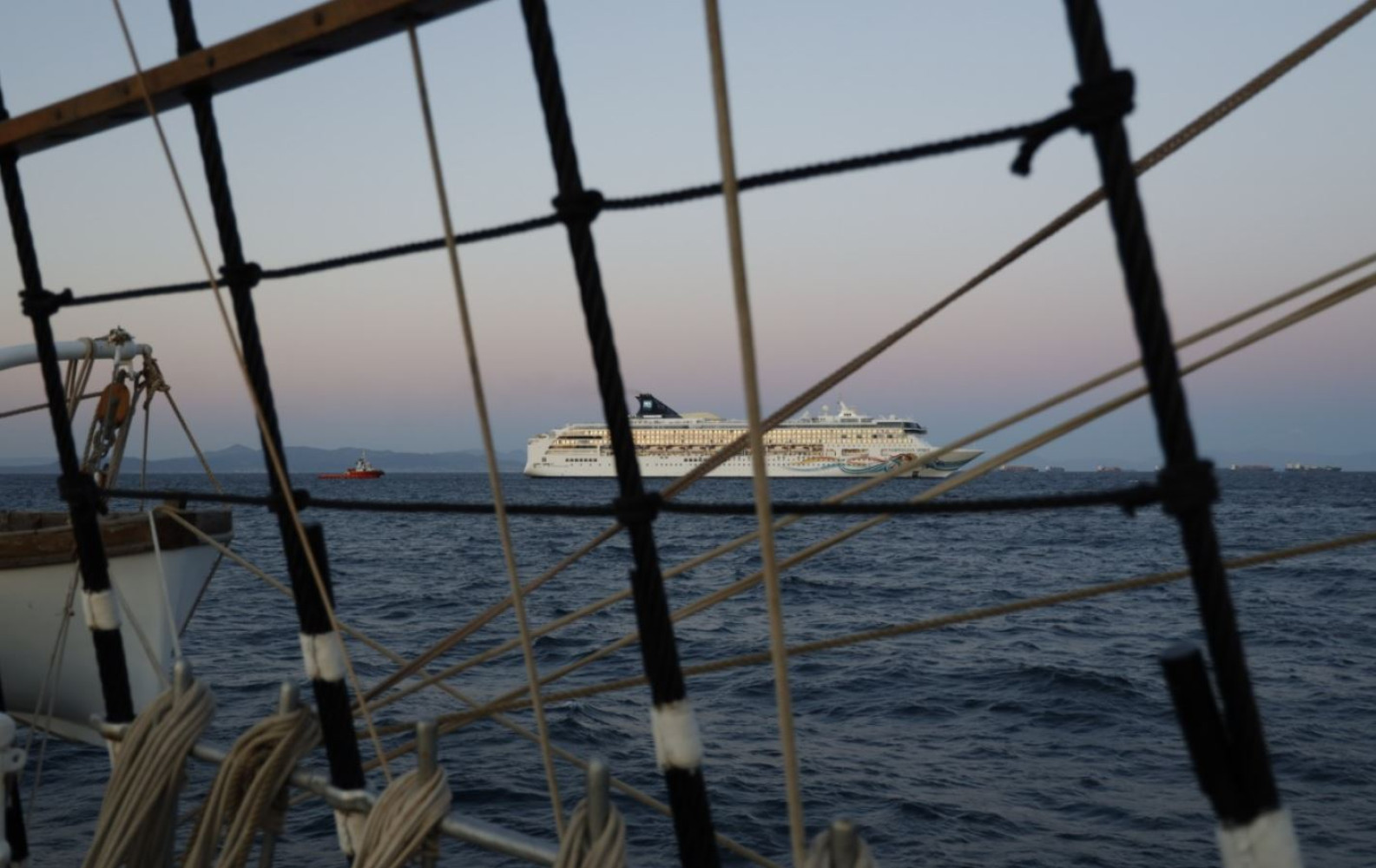 Univerzitet Crne Gore