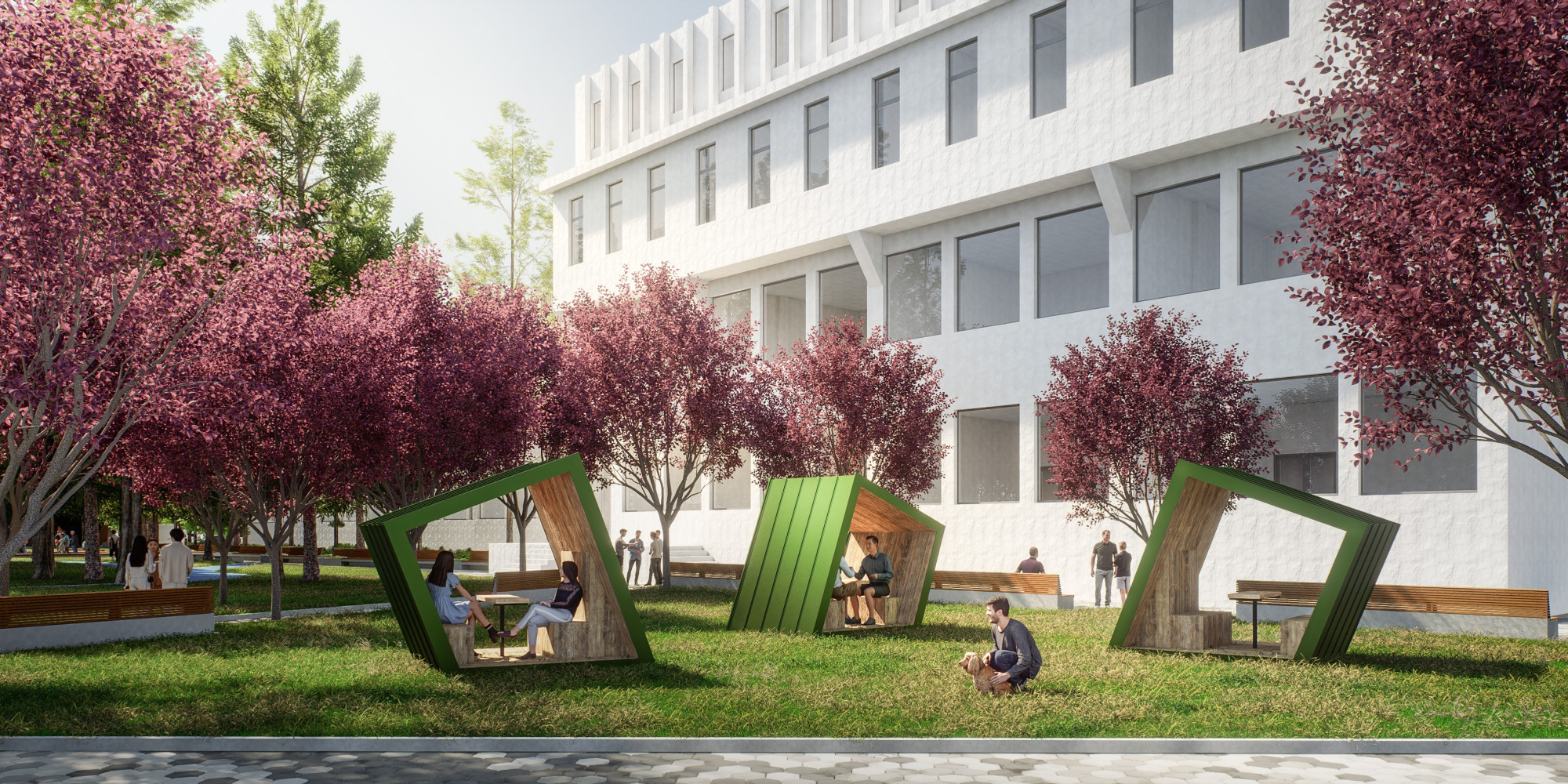 Univerzitet Crne Gore