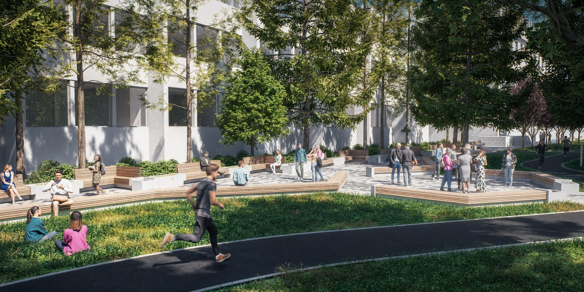 Univerzitet Crne Gore