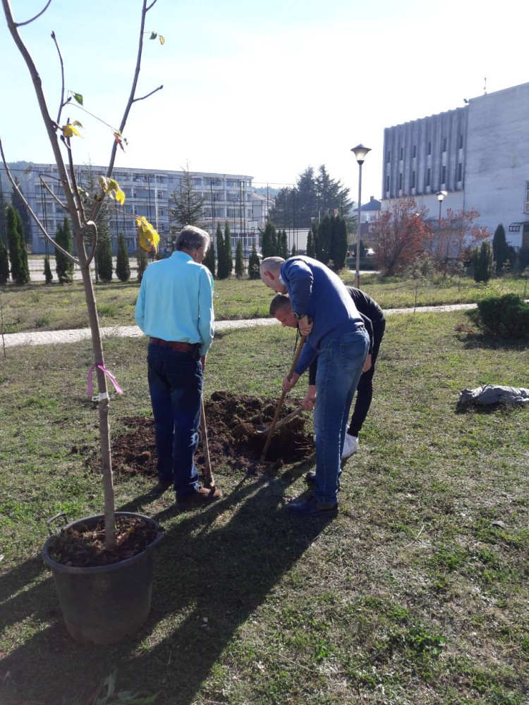 Univerzitet Crne Gore