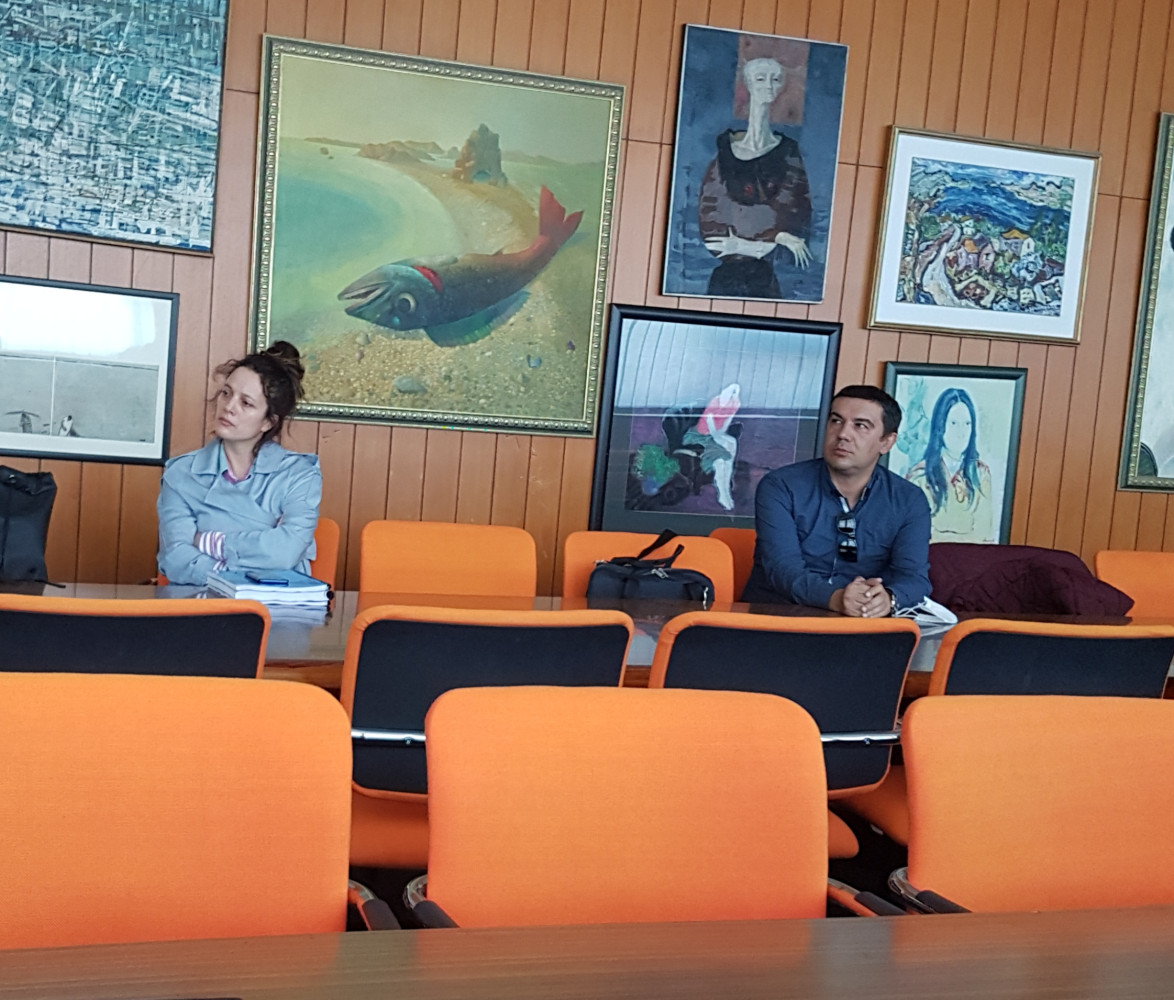 Univerzitet Crne Gore