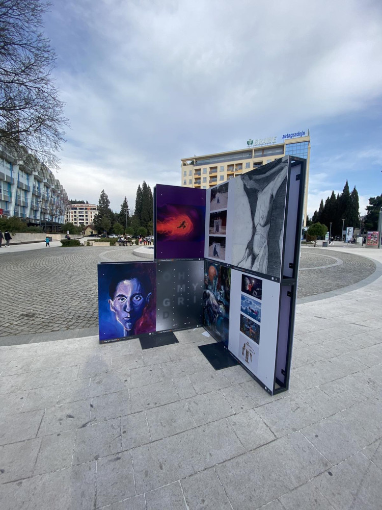 Univerzitet Crne Gore