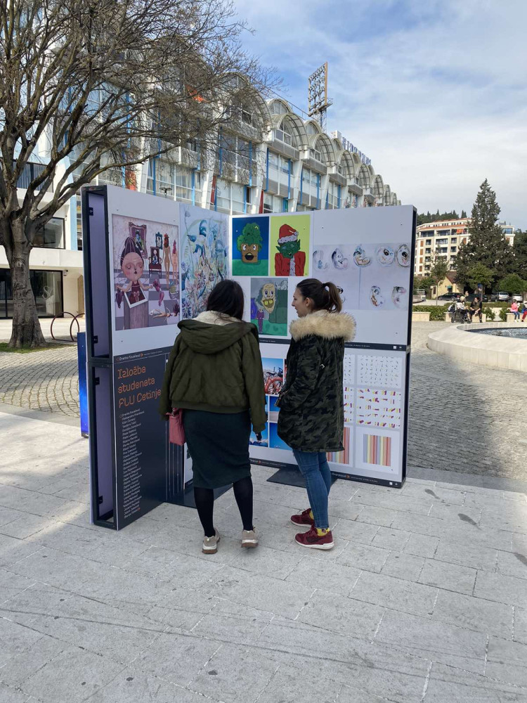 Univerzitet Crne Gore