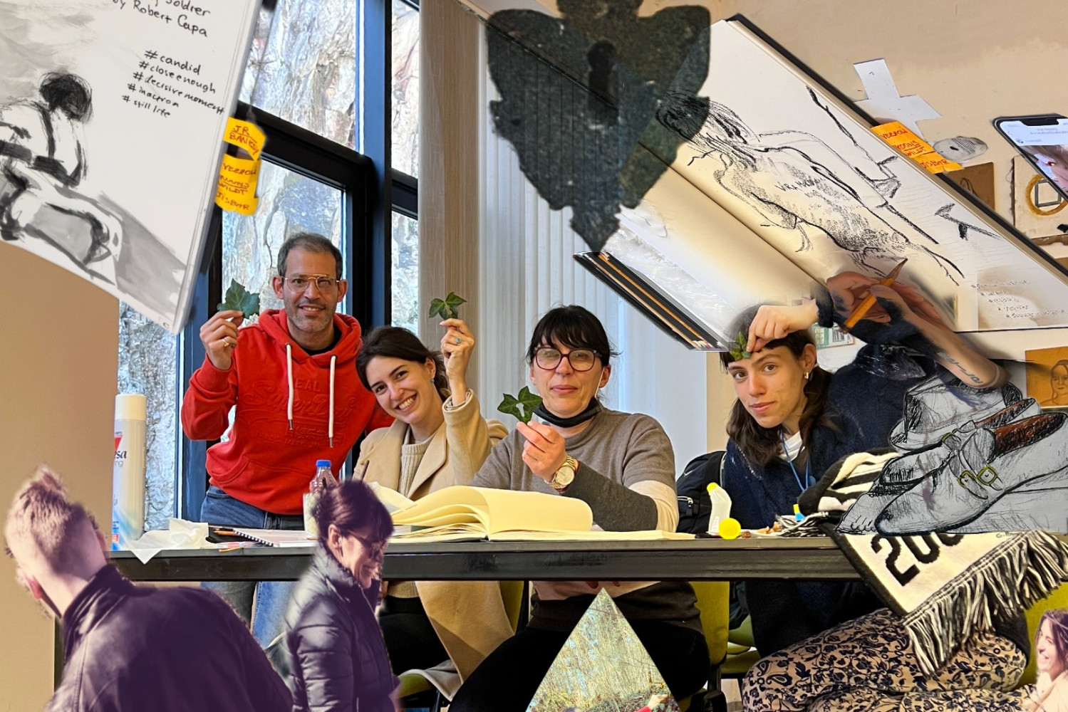 Univerzitet Crne Gore