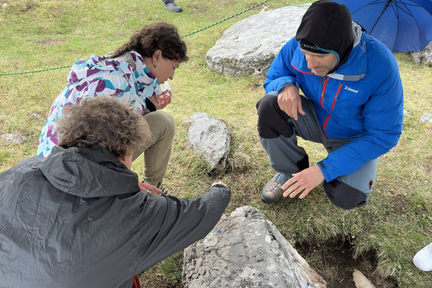 Univerzitet Crne Gore