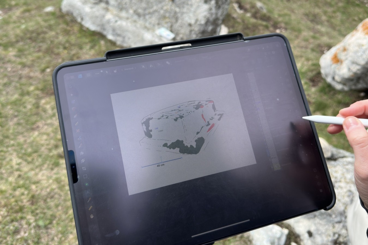 Univerzitet Crne Gore