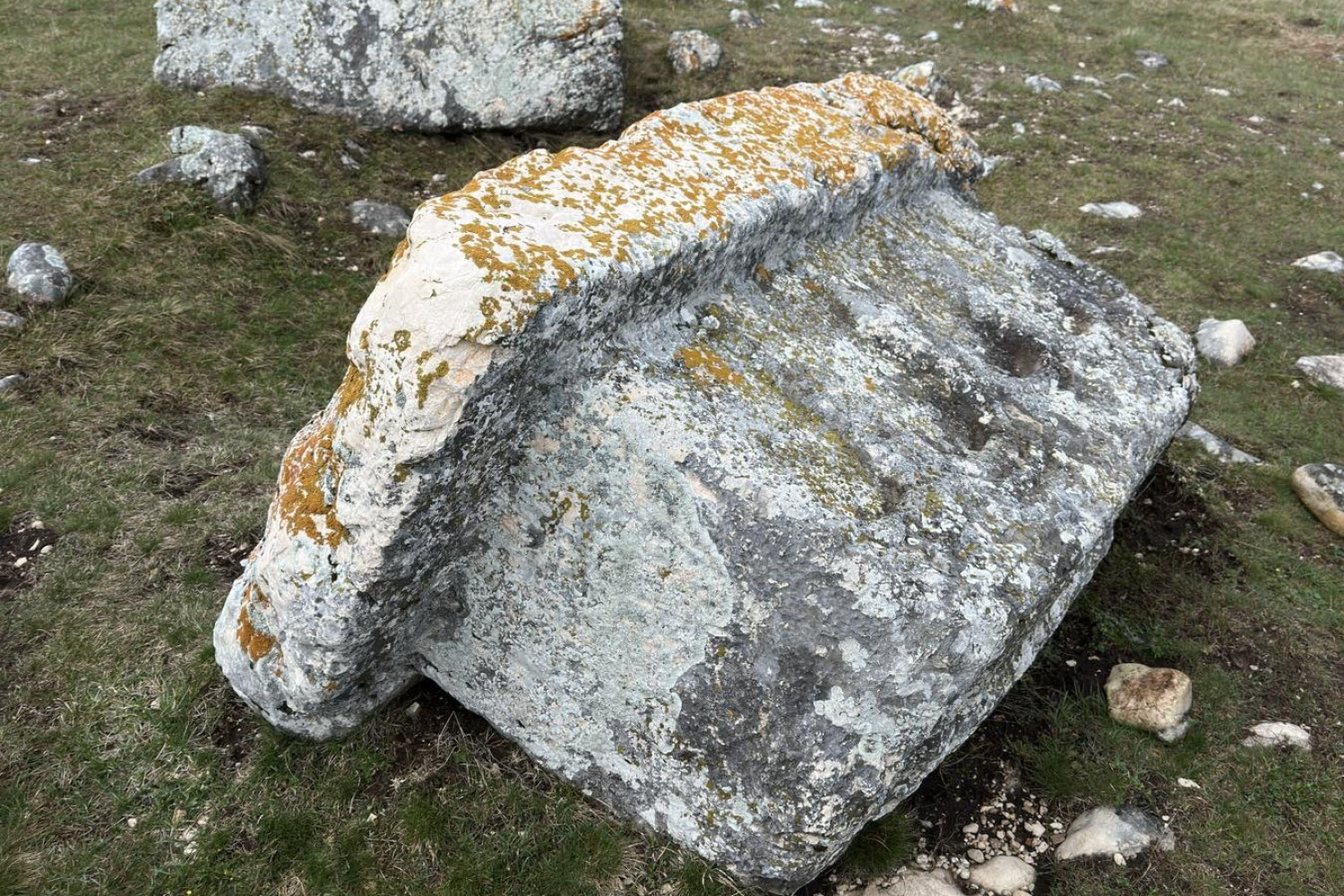 Univerzitet Crne Gore