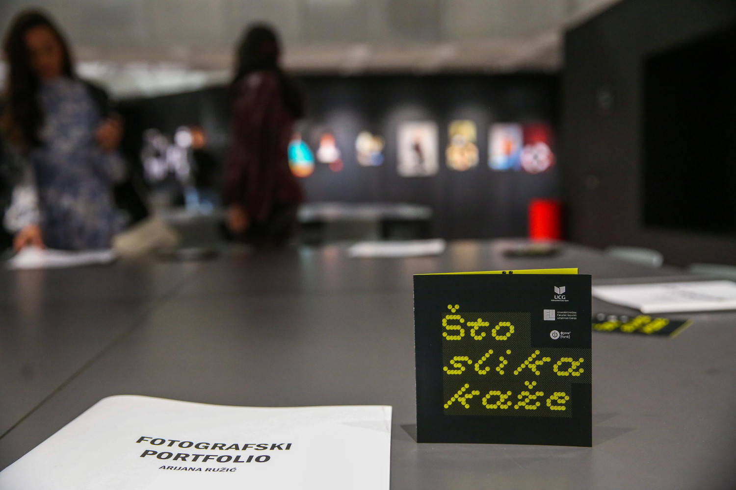 Univerzitet Crne Gore