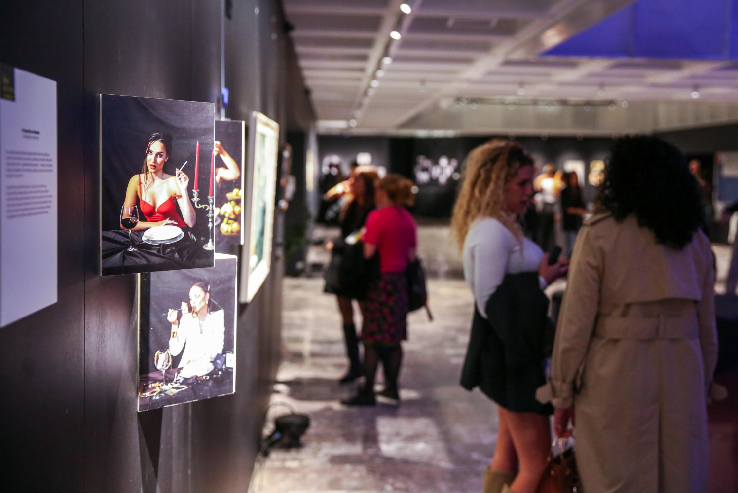 Univerzitet Crne Gore