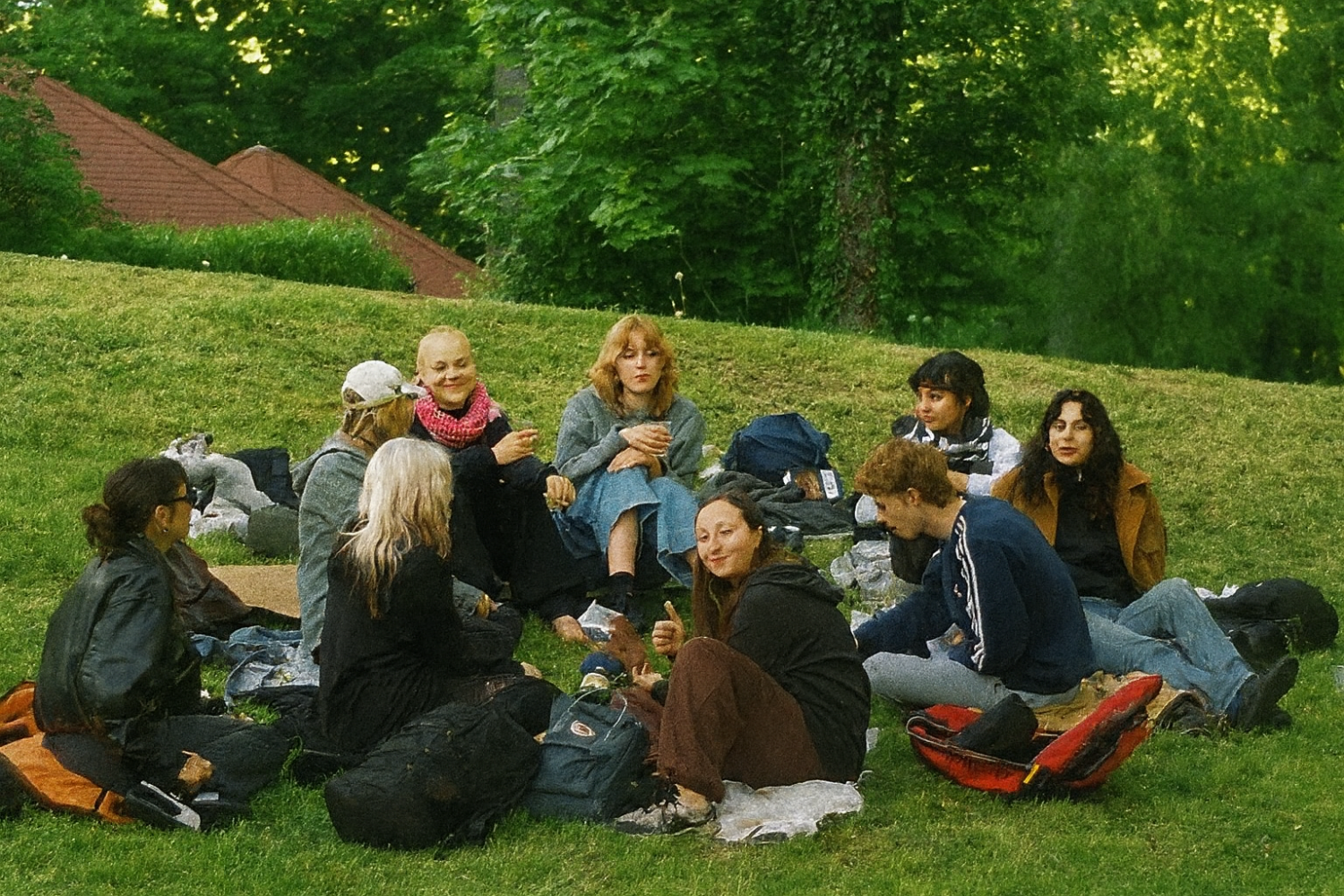 Univerzitet Crne Gore