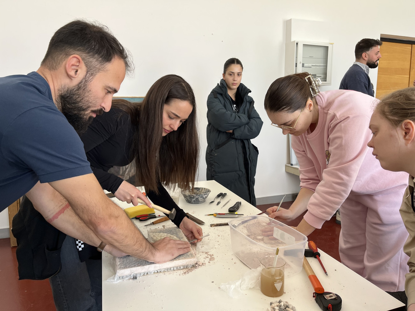 Univerzitet Crne Gore