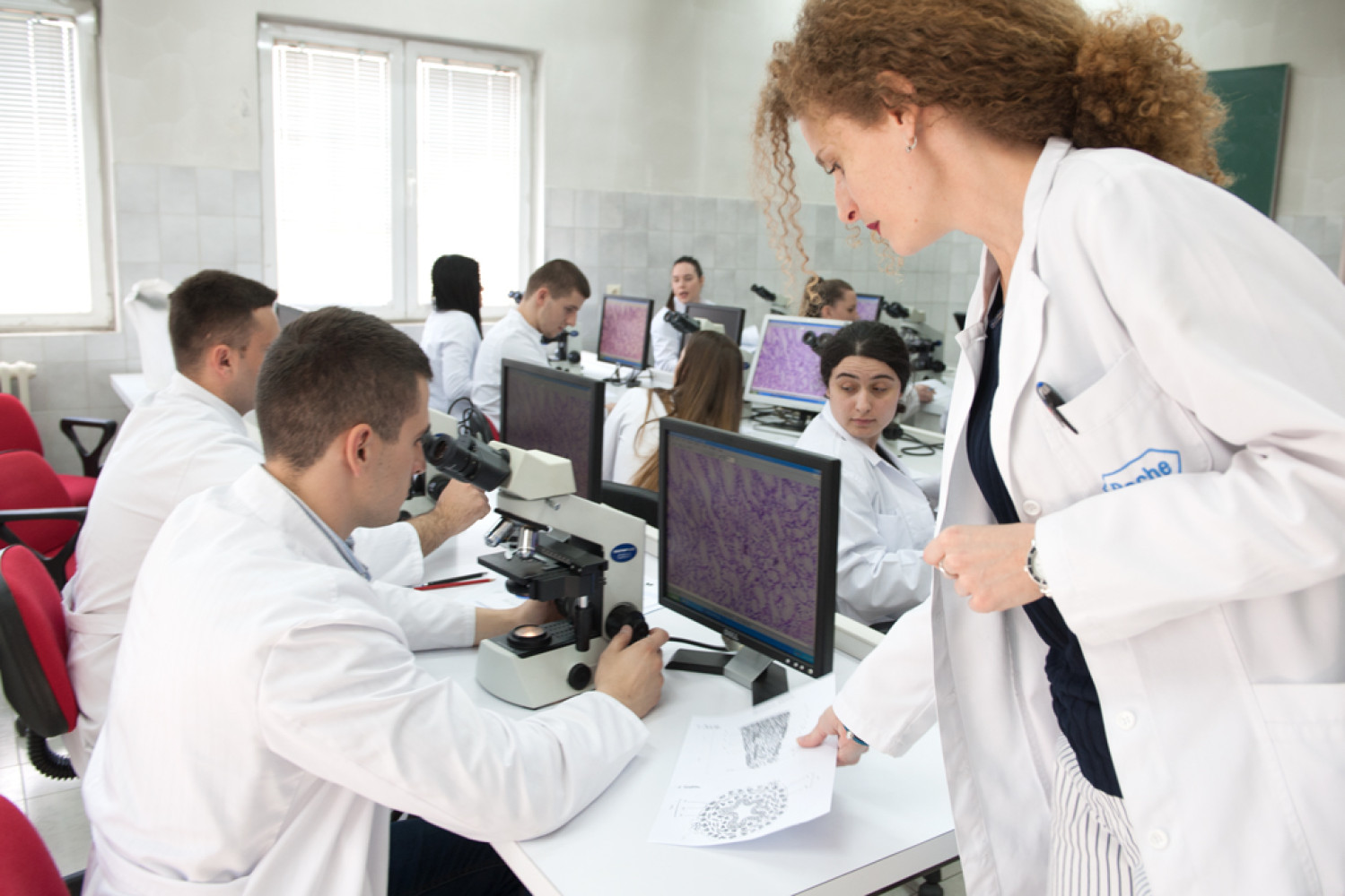 Univerzitet Crne Gore