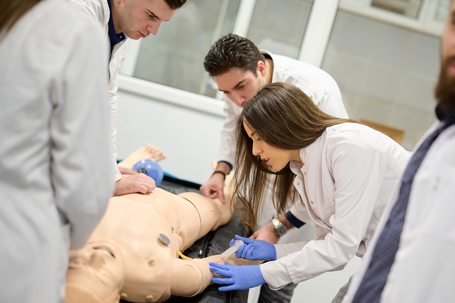 Univerzitet Crne Gore