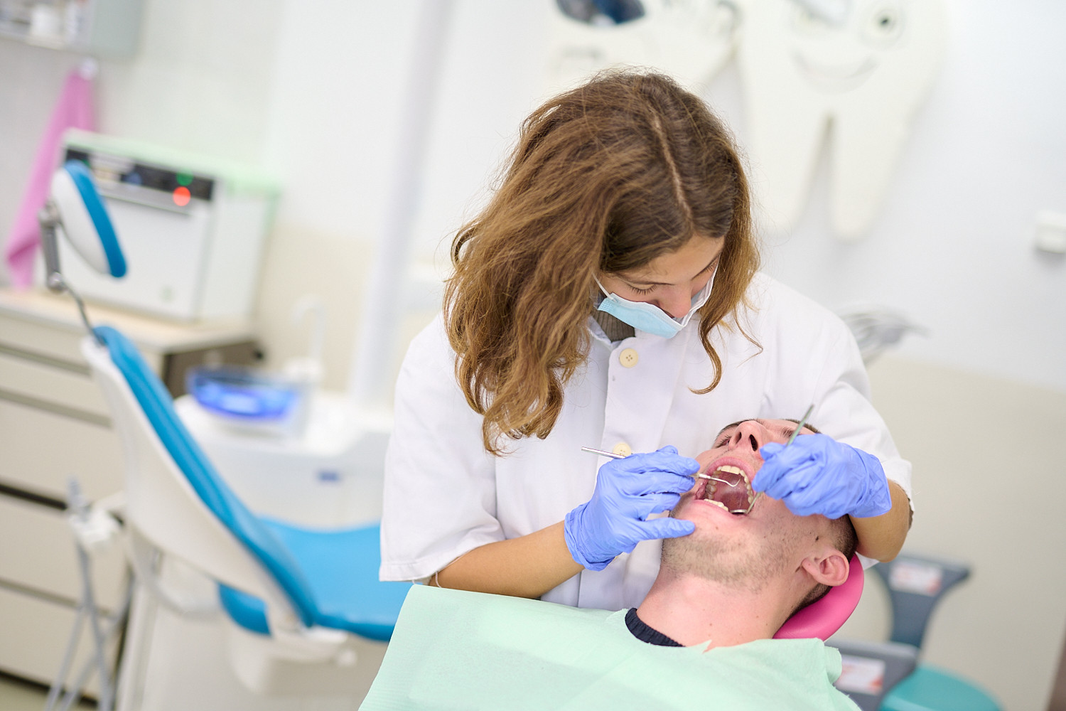 Univerzitet Crne Gore