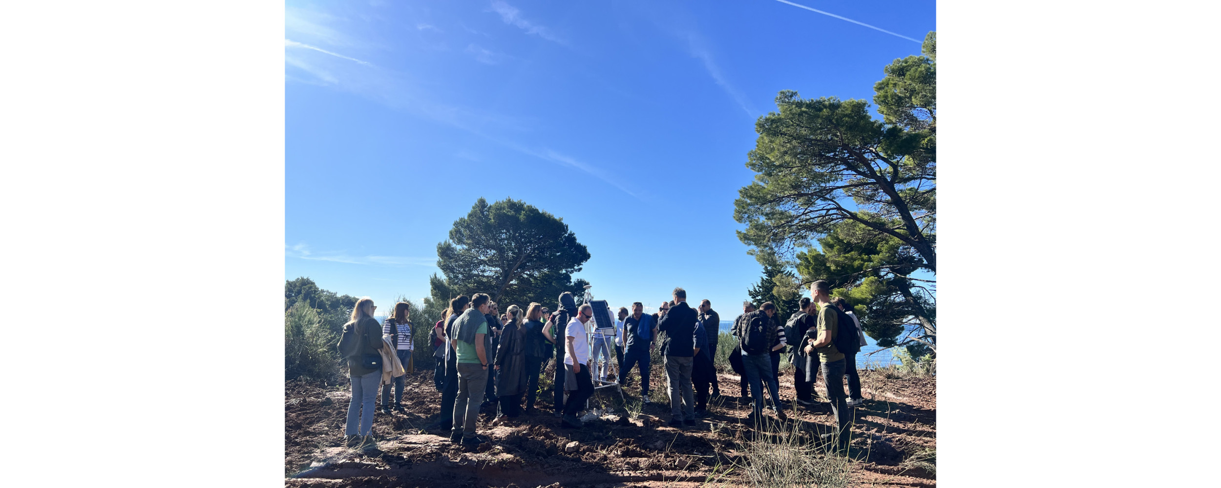 Univerzitet Crne Gore