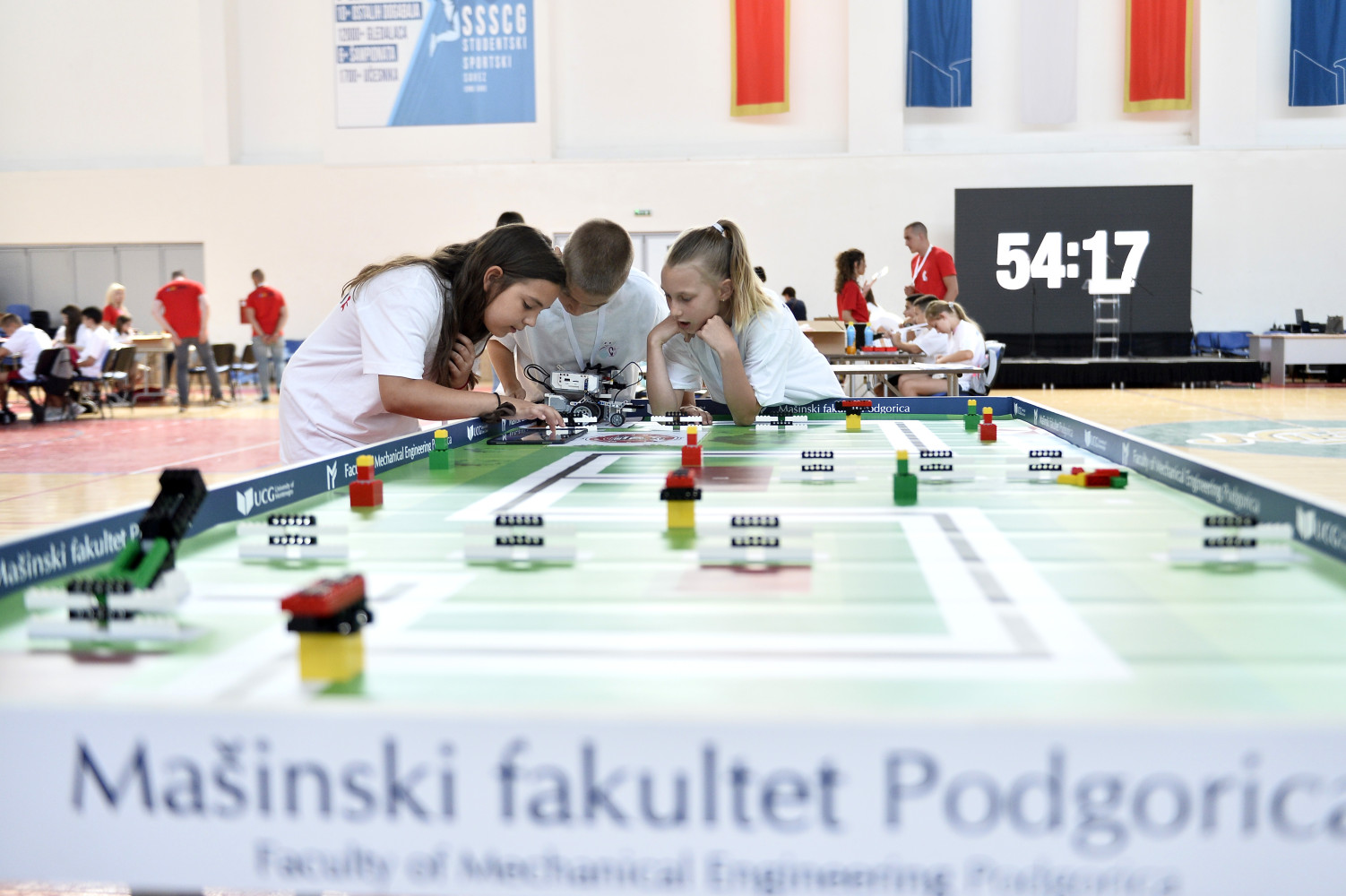 Univerzitet Crne Gore