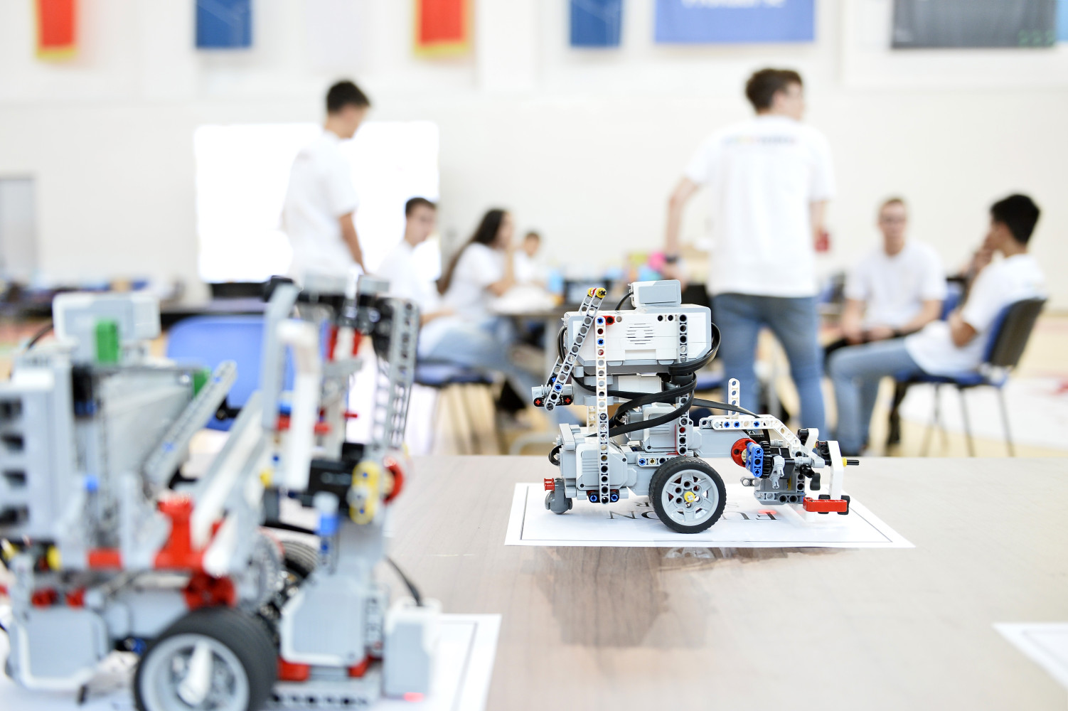 Univerzitet Crne Gore