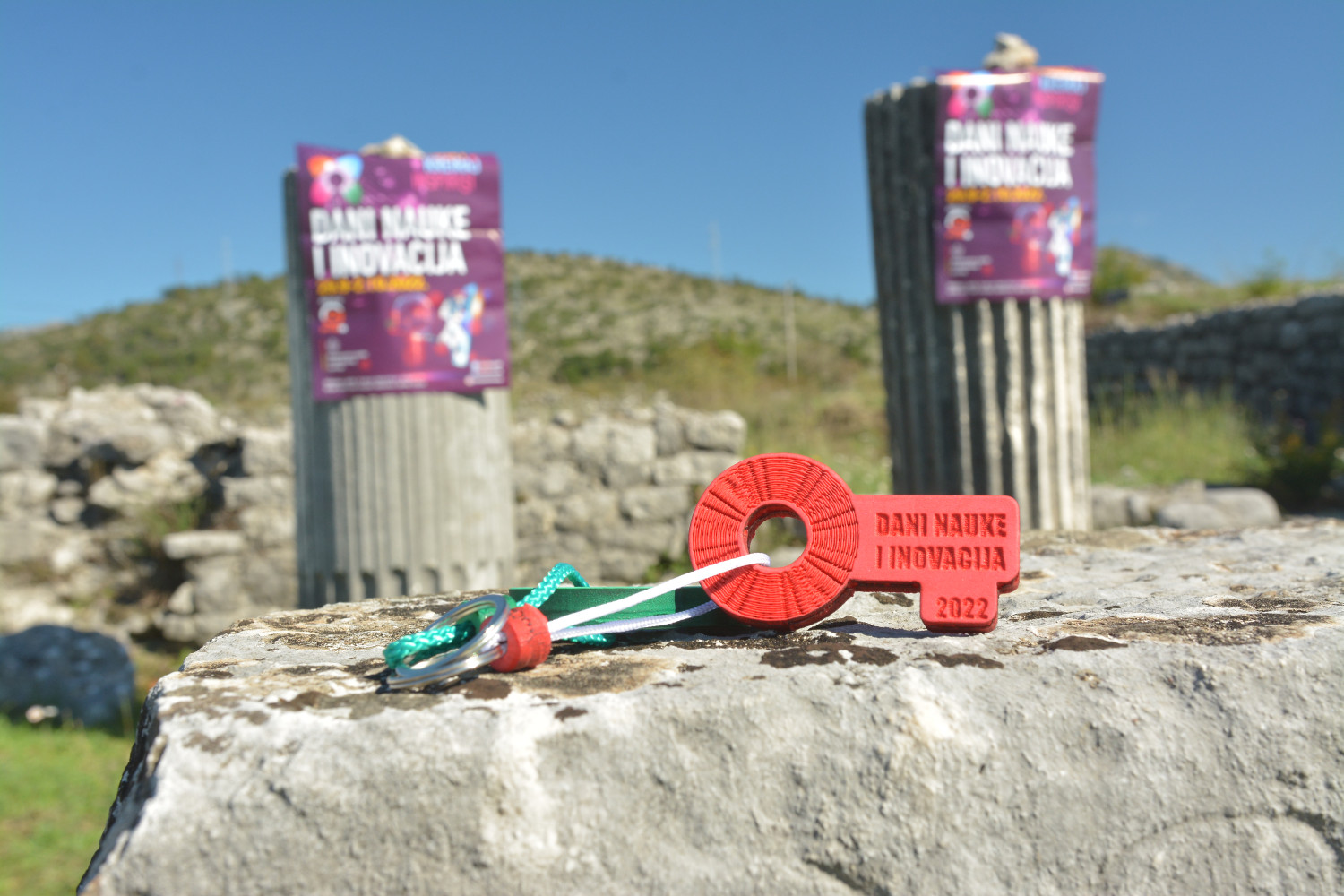 Univerzitet Crne Gore