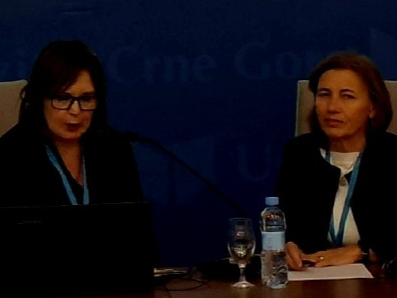 Univerzitet Crne Gore