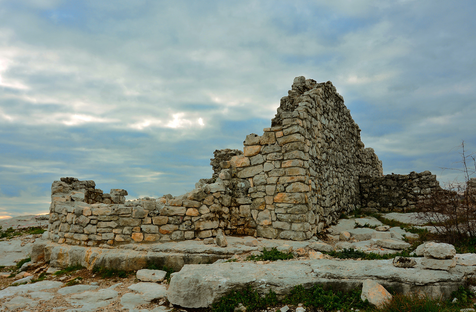 Univerzitet Crne Gore