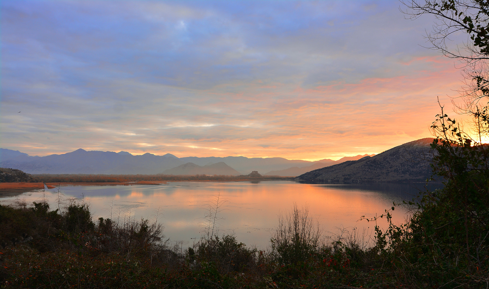 Univerzitet Crne Gore