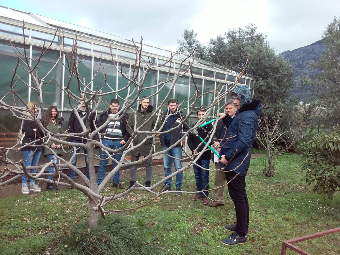 Univerzitet Crne Gore