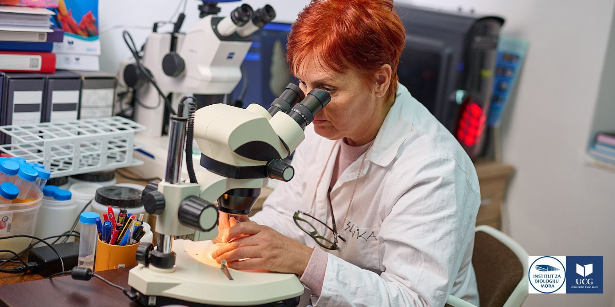 Univerzitet Crne Gore