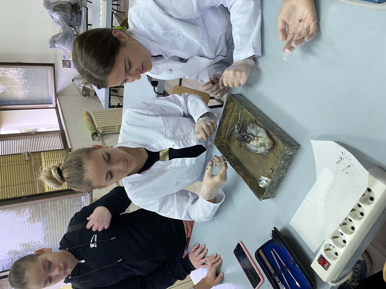 Univerzitet Crne Gore