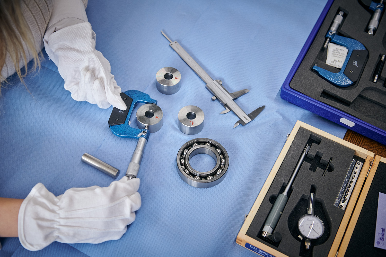 Univerzitet Crne Gore