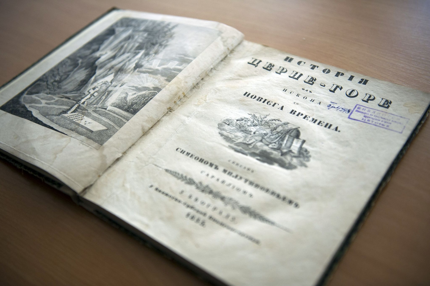 Univerzitet Crne Gore