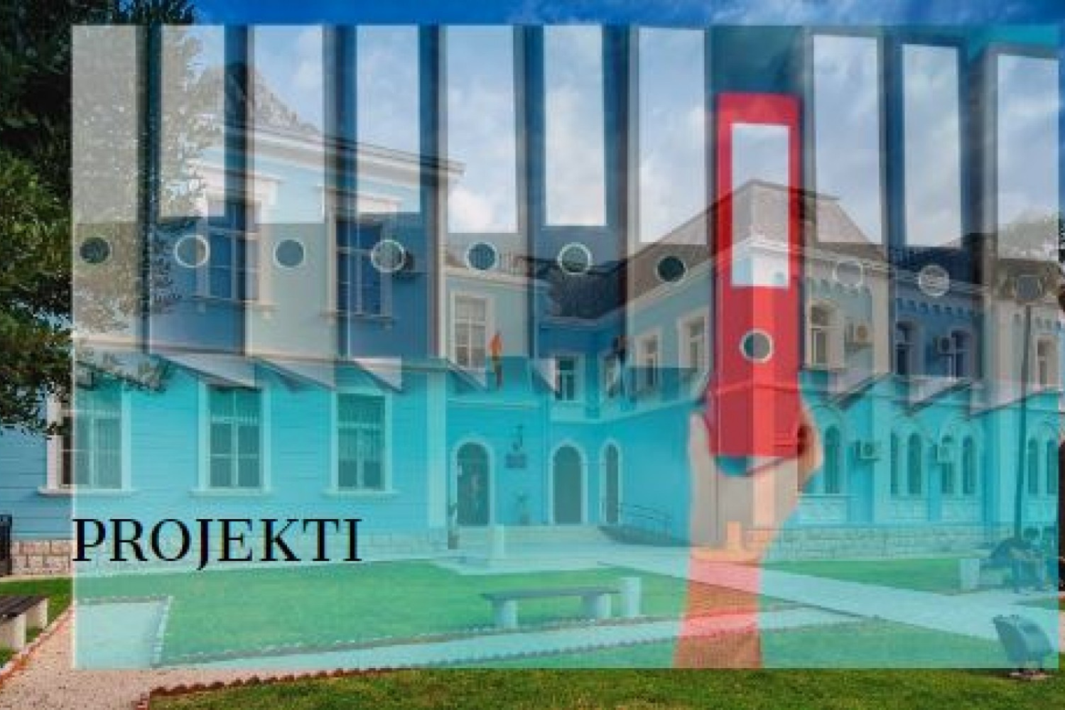 Univerzitet Crne Gore