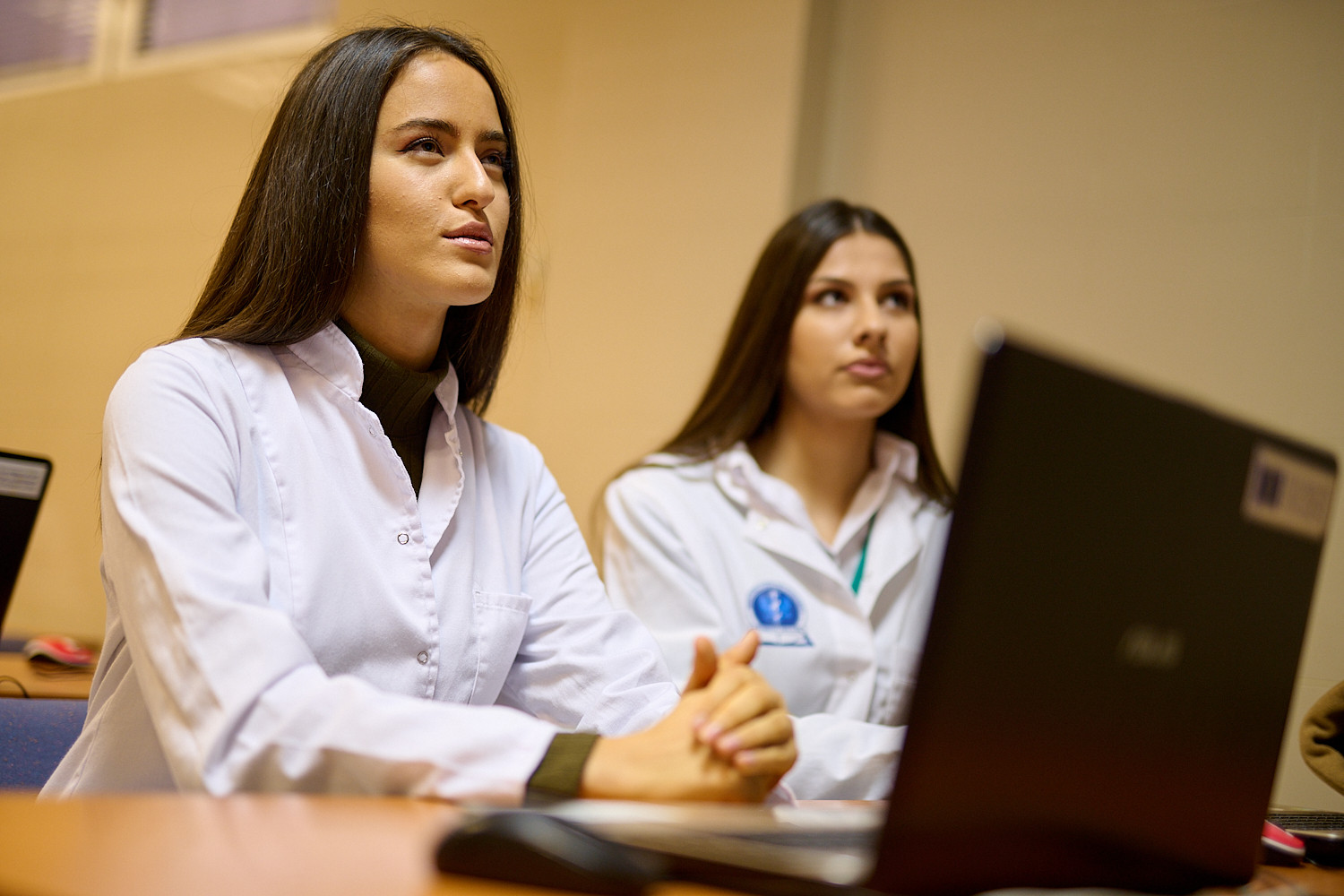 Univerzitet Crne Gore