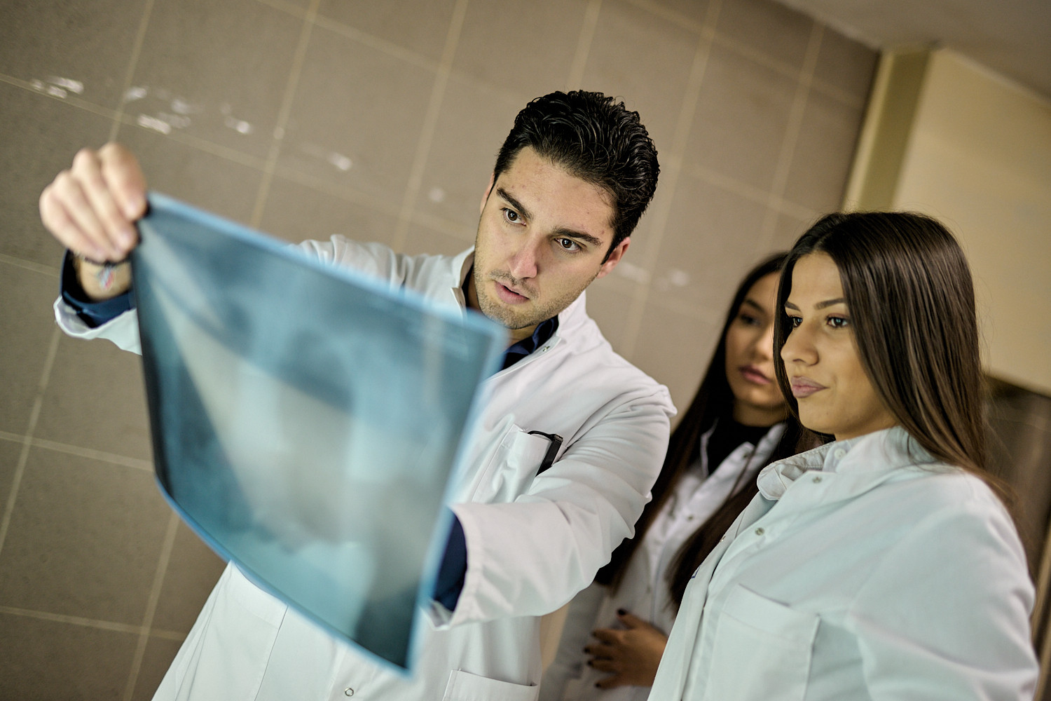 Univerzitet Crne Gore